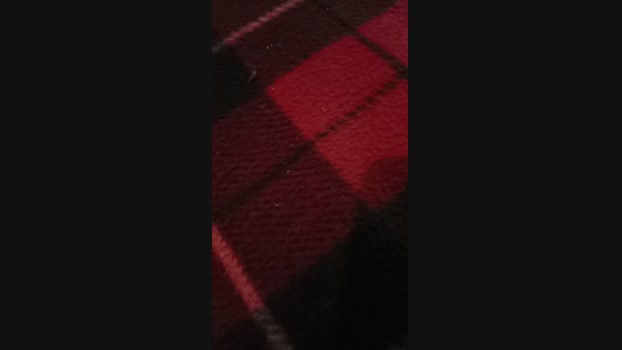 parejaLiberal25 11-11-2023 kink 