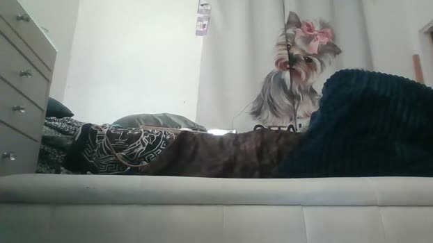 sexybigass777 12-11-2023 spank 