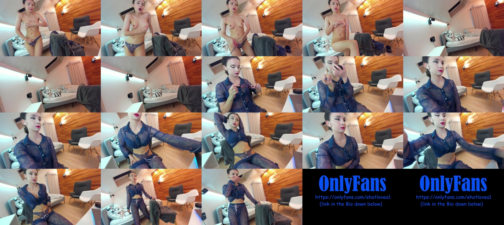 ehotlovea 16-11-2023 Wet 