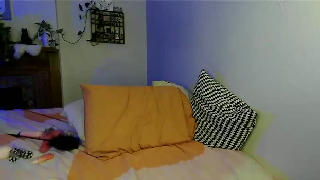ohmighty 18-11-2023 ass 