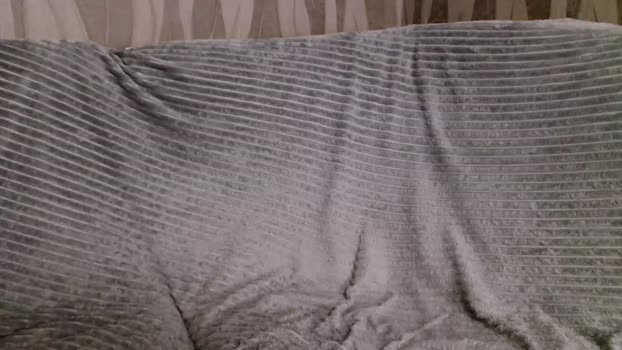 wet_baby__ 19-11-2023 ass 