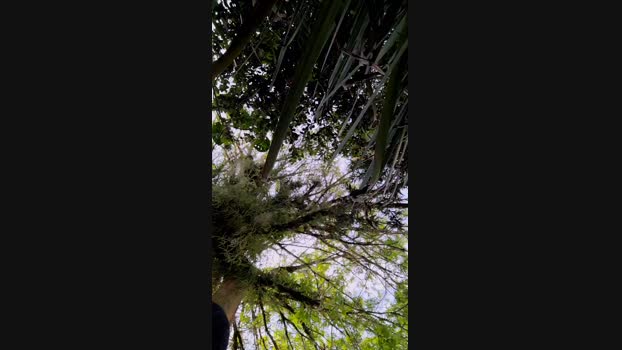 giselxxx_hot 24-11-2023 big 