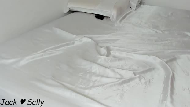 homeofsex_ 24-11-2023 wank 