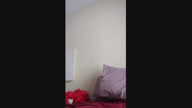 Babygirldamm 25-11-2023 fuckpussy 