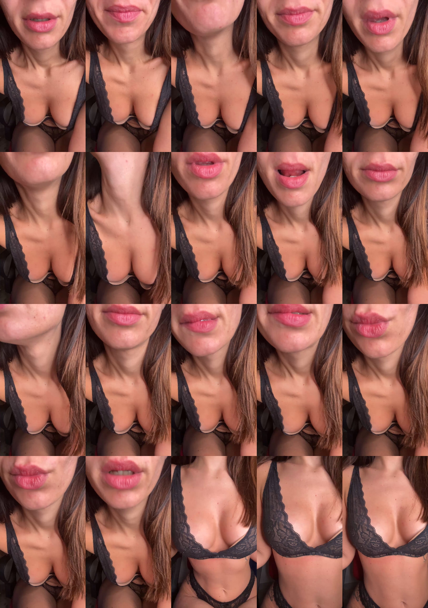 Stellareg 27-11-2023 Download 