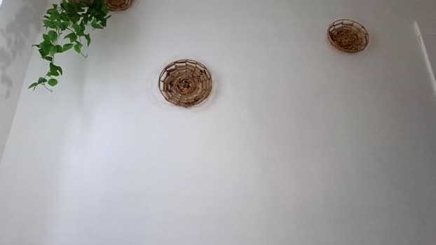 littlegreekflower 02-12-2023 wank