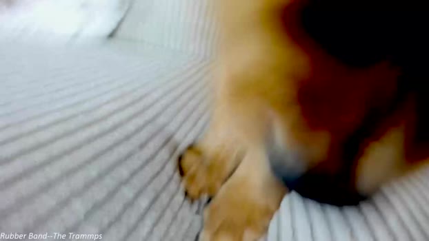 x_lily_x 06-12-2023 play