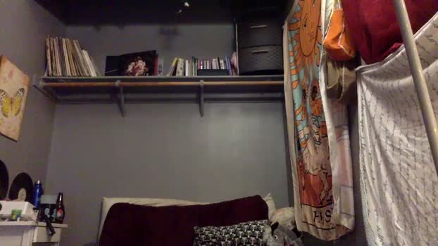 elleperkins 11-12-2023 orgasm