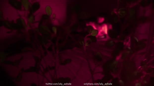 _exhale 13-12-2023 moan