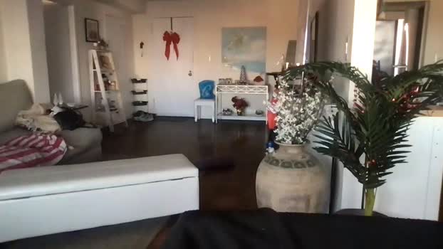 bigjoed233 16-12-2023 beauty