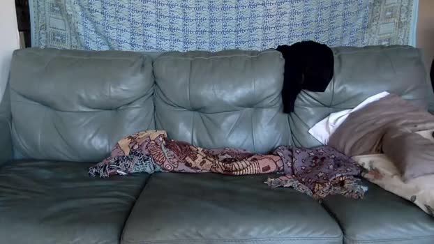 heytheretigers 15-01-2024 striptease