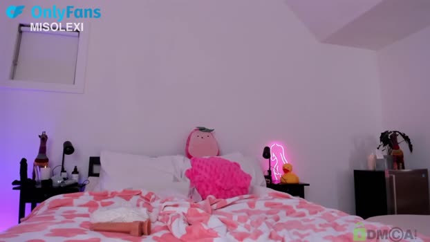 misolexi 23-01-2024 wet