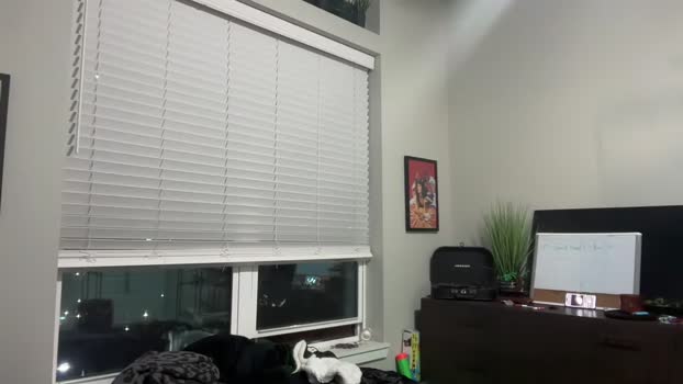 thelaylajenner 04-02-2024 analsex