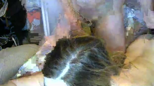 bereal247 12-02-2024 fuckpussy