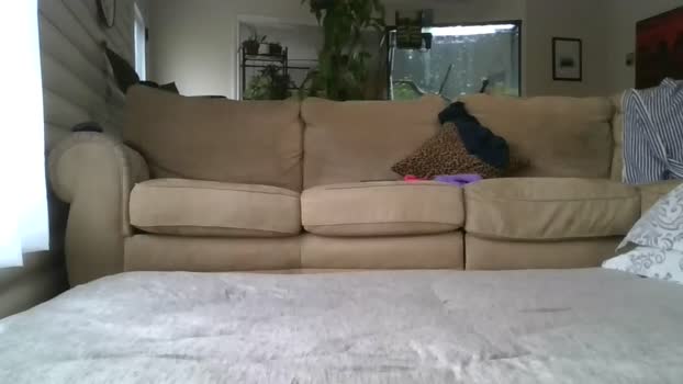 naturalwildcouple Couples Chaturbate 22-03-2024