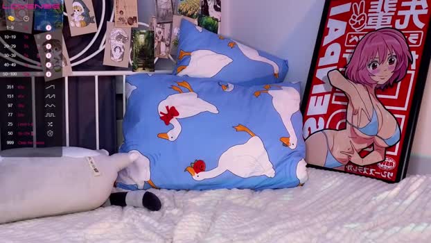 cute_fox_girl Females Chaturbate 24-03-2024