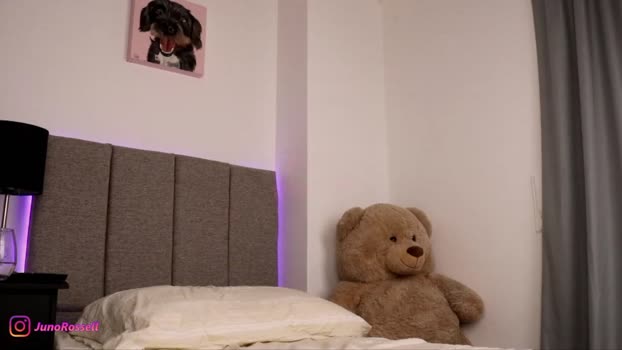 junorossell_uwu Females Chaturbate 28-03-2024