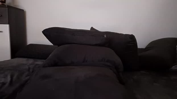 czechblond23 Couples Chaturbate 01-04-2024