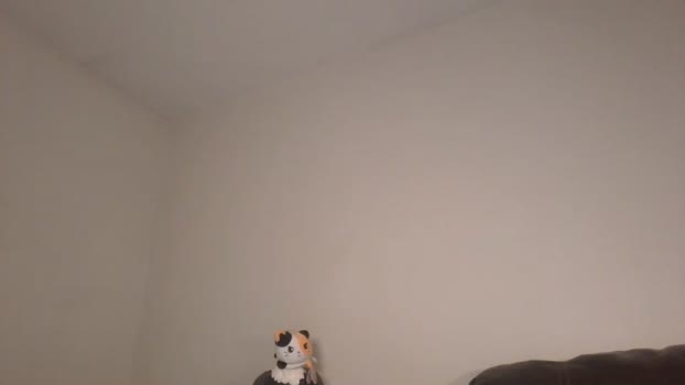 l3ray Couples Chaturbate 02-04-2024