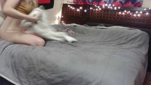 studiowahines Couples Chaturbate 03-04-2024