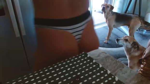 dazey1 Females Chaturbate 15-04-2024