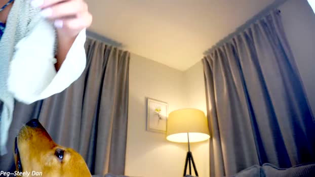 x_lily_x Females Chaturbate 26-04-2024