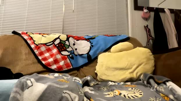 velvetpurrfection Females Chaturbate 05-05-2024