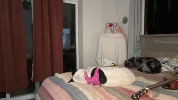 kaileeshy Females Chaturbate 07-05-2024