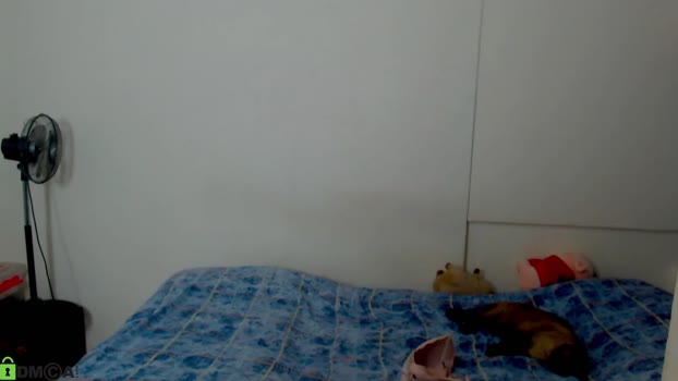 ameli_and_lucas Couples Chaturbate 30-05-2024