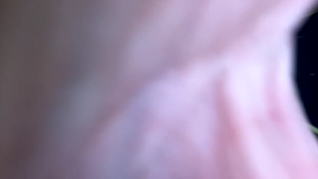 kitten_n_daddy69 Couples Chaturbate 02-06-2024