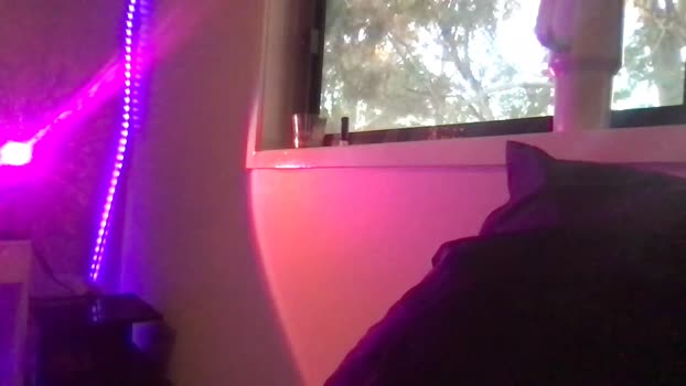 luvlivvyy Females Chaturbate 03-06-2024
