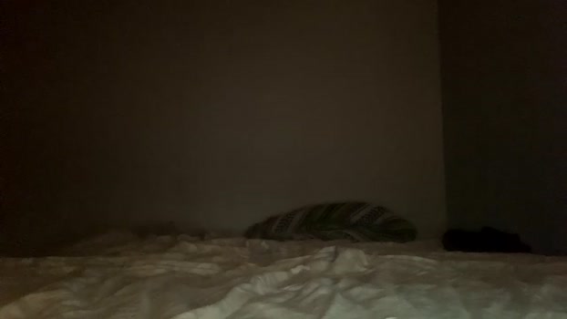 penutbuttajelllytime Couples Chaturbate 07-06-2024
