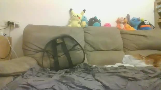 nikeair305 Couples Chaturbate 10-06-2024