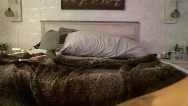 frolicroom0687 Couples Chaturbate 13-06-2024