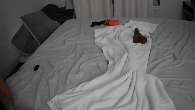 flipandswitch Couples Chaturbate 15-06-2024