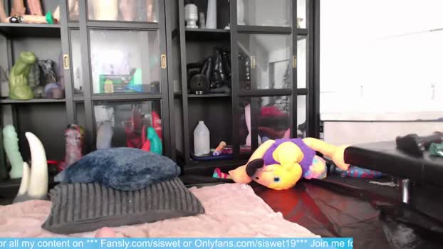 siswet19 Females Chaturbate 17-06-2024