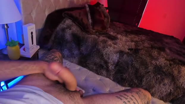 abbyandchris1 Couples Chaturbate 18-06-2024