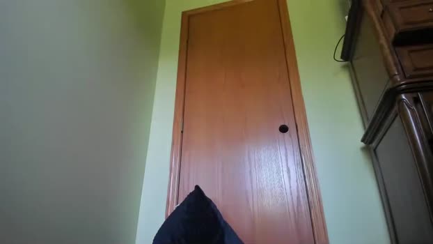 lenity_life Females Chaturbate 27-06-2024