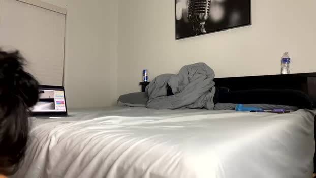 missodin Couples Chaturbate 25-07-2024