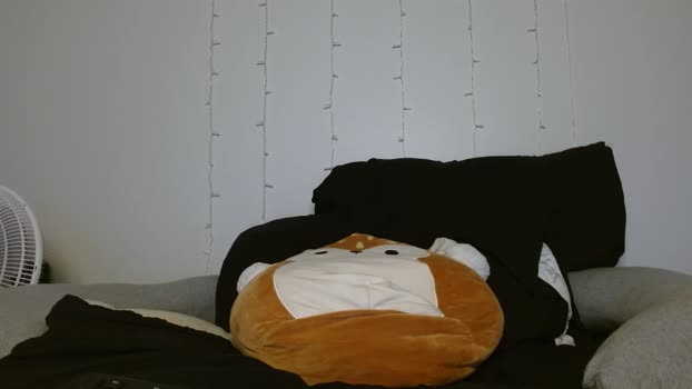 urlittlepumpkin Females Chaturbate 25-07-2024