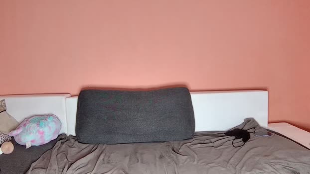 katusha008 Couples Chaturbate 29-07-2024