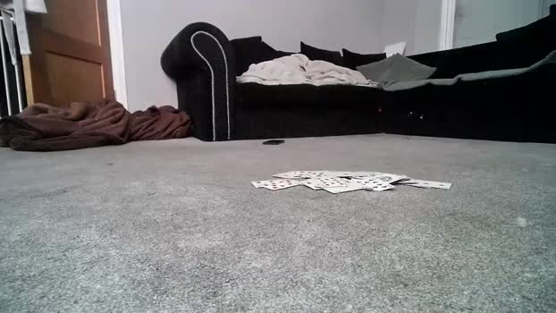 misterycouple12 Couples Chaturbate 02-08-2024