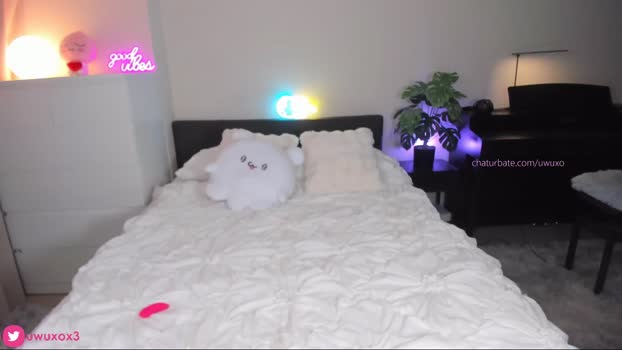uwuxo Females Chaturbate 09-08-2024