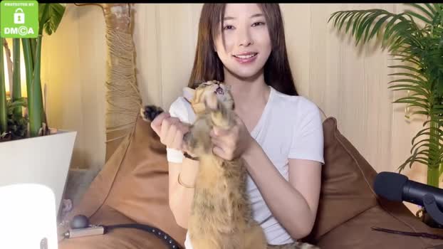 galantini Females Chaturbate 27-08-2024