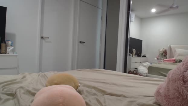 avabrooks Females Chaturbate 05-09-2024
