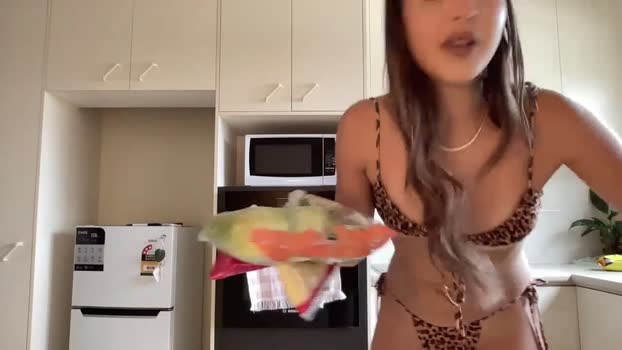 shysashy Females Chaturbate 13-09-2024