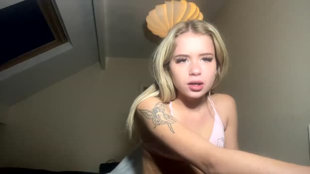 allanarey151 Females Chaturbate 14-09-2024