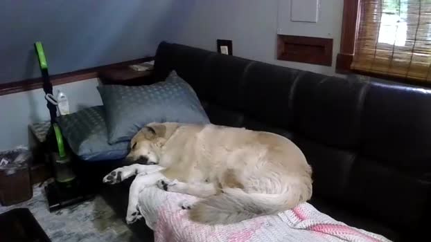 phatassblond Couples Chaturbate 20-09-2024