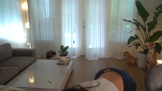 lace___ Females Chaturbate 21-09-2024