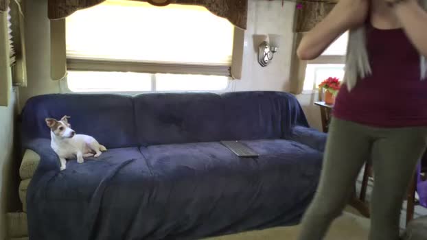 cosmicconnections Couples Chaturbate 26-09-2024